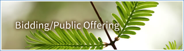biddnig_public_offering