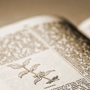 エネルギー技術情報プラットフォームのイメージ