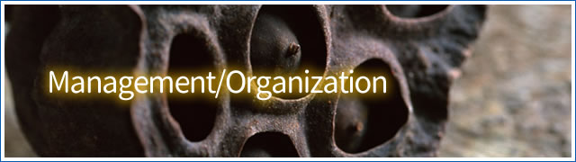 Management&Organization