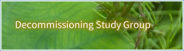 Decommissioning Study Group