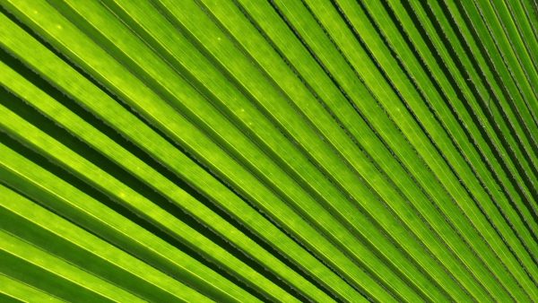 「図解でわかるカーボンリサイクル」発刊のお知らせ