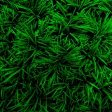 「ACC技術研究会（Society of Anthropogenic Carbon Cycle Technology）入会のご案内」を更新