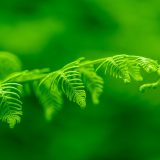 月例研究会の運営等の変更についてのお知らせ