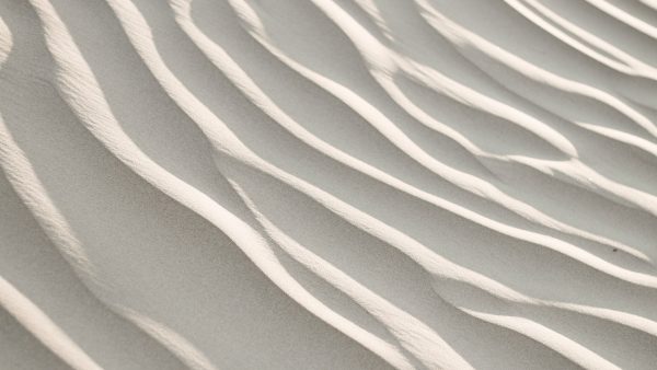 第36回　エネルギー総合工学シンポジウム(11月1日13:30～16:00)開催のご案内