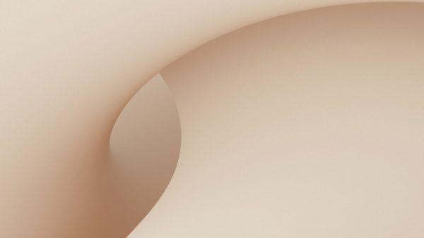 第446回月例研究会のお知らせ<br>(2025.2.14(金)14:00～15:30)