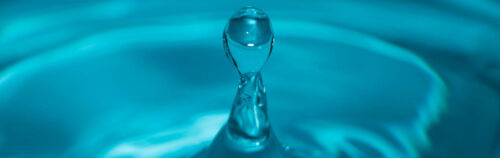 地球環境グループ