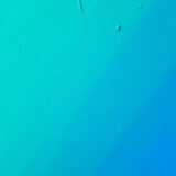 GUESS-WHyプロジェクトへの参加について